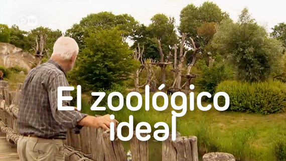 El zoológico ideal